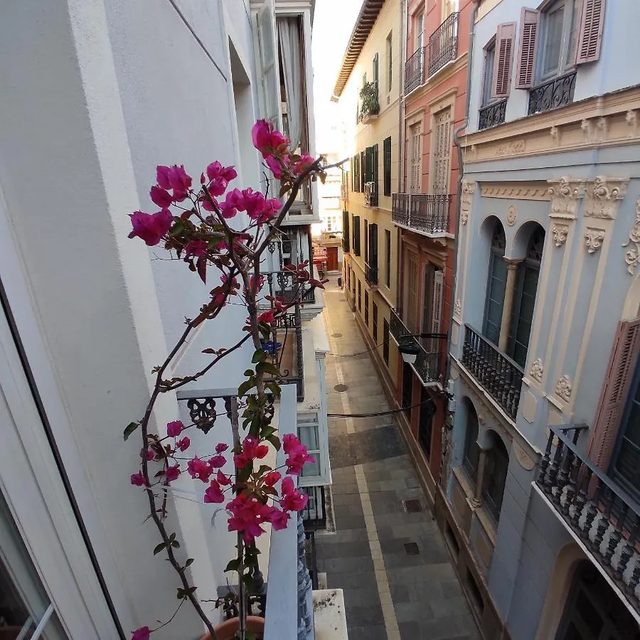 Malaga Centro Apartment